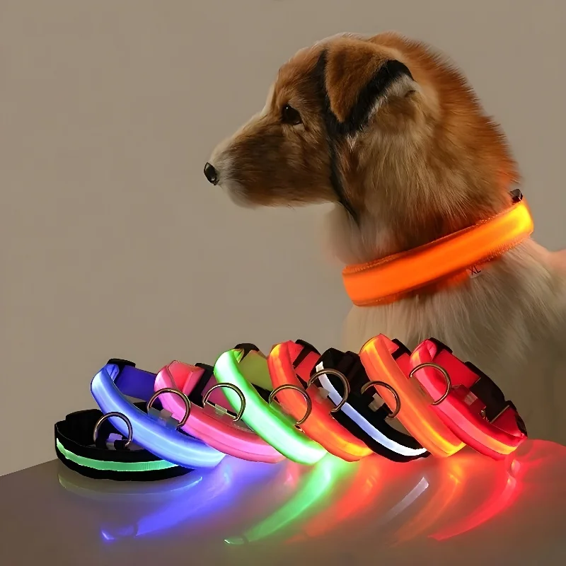 Collar de nailon con luz LED para perro, correa de seguridad nocturna intermitente que brilla en la oscuridad, accesorios fluorescentes luminosos para mascotas - ¿Vale la pena?